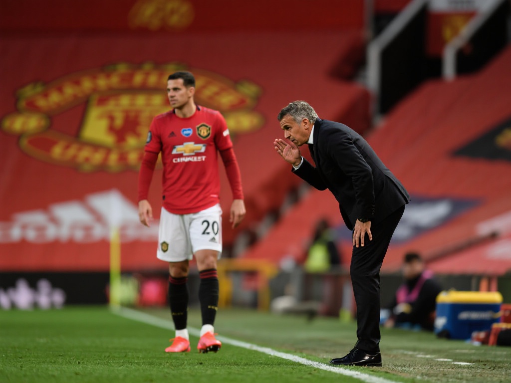 可能是葡萄 可能是葡萄